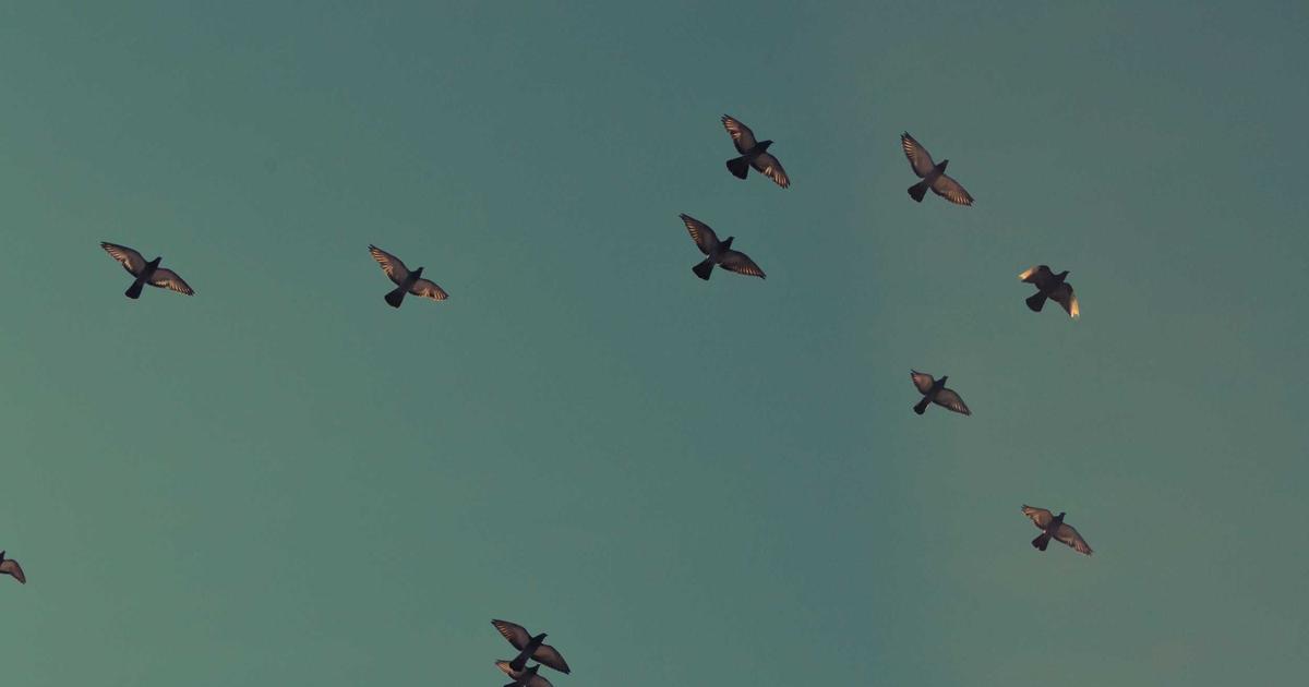 Como instalar a Linguagem ELIXIR no Linux.