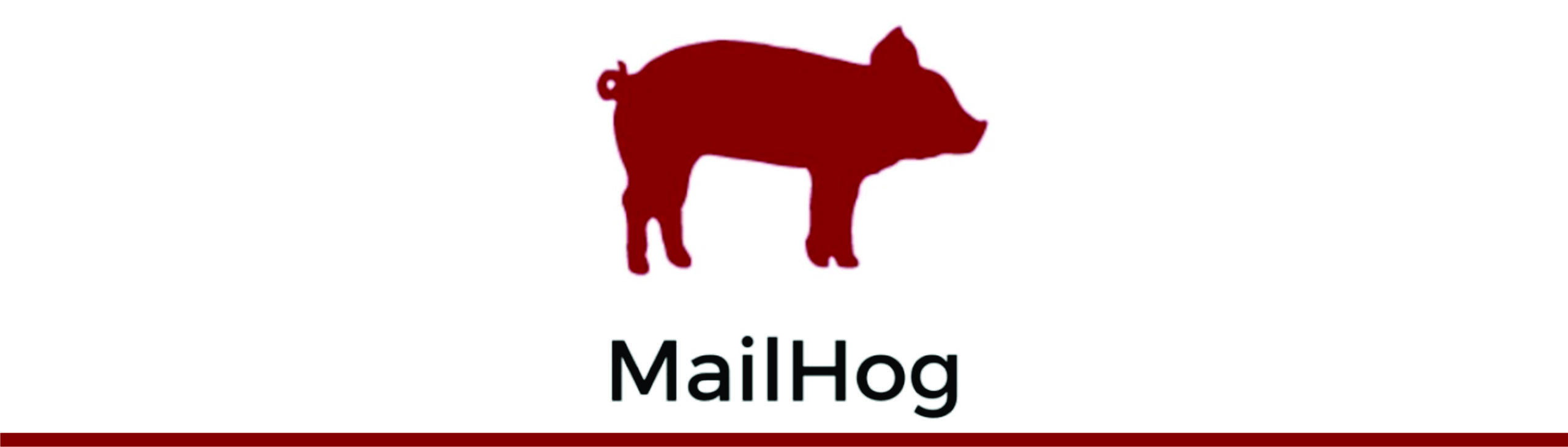 Como Instalar e Usar o MailHog com Laravel para Testes de Email